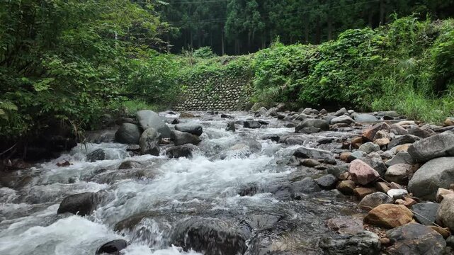 富山県入善町の舟川ダム下流の環境