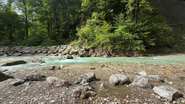 Clear turquoise alpine river flowing over rocks with dense green forest in the background, Partnach Gorge area, Bavaria.
