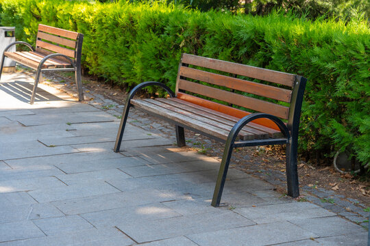 Row of empty park benches along a paved walkway with lush green bushes