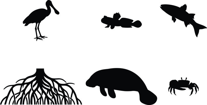 Mangrove ecosystem wildlife vector icon set featuring spoonbill manatee mudskipper fish crab and stilt roots