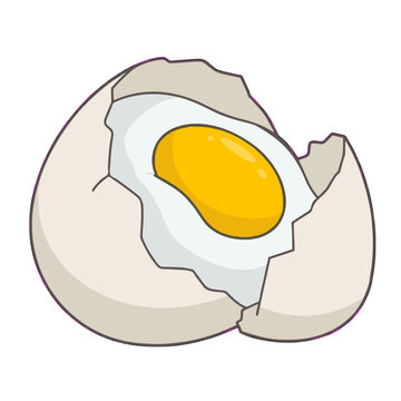 Cracked egg vector illustration with visible yolk and shell