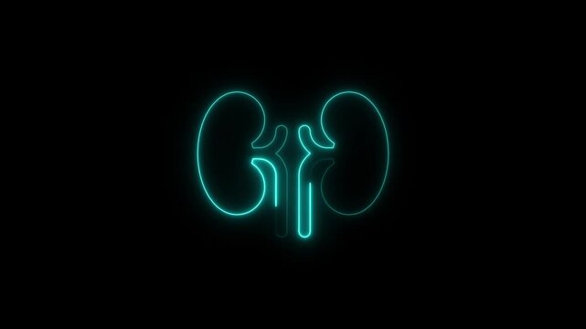 Neon kidney icon glowing medical animation design Abstract organ health care symbol  Elements of Medicine in neon style icons. symbol for the urinary system component. Vector illustration.