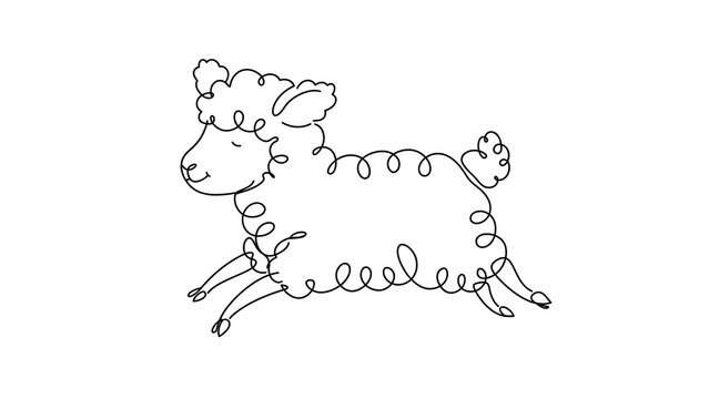 cute sheep white background.