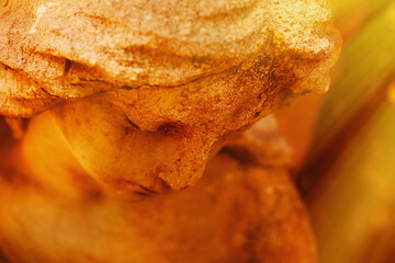 Fototapeta premium Close-up of a weathered stone angel statue in warm golden light, symbolizing sorrow, memory and the passage of time.