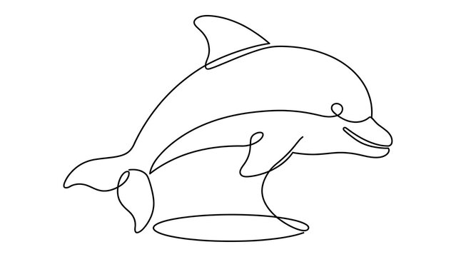 Dolphin jumping white background.