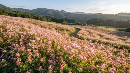 Fototapeta premium Pink Flower Field with a Mountain Landscape in Soft Evening Light