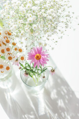Obraz premium Pink marguerite, matricaria and baby's breath in glass vases with sunlight