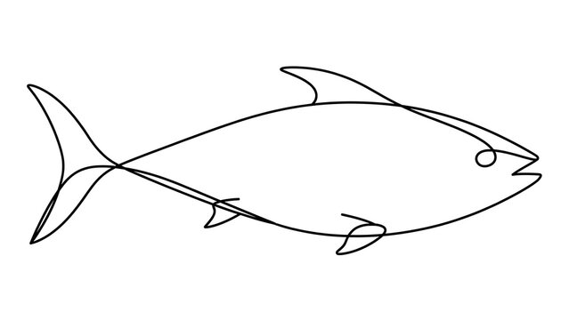 Fish illustration on white background.