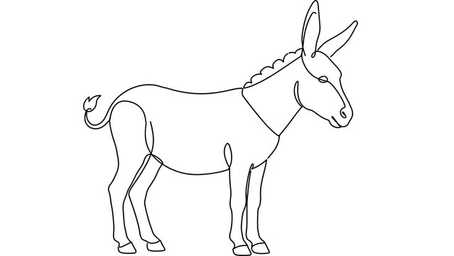 Donkey standing on white background.