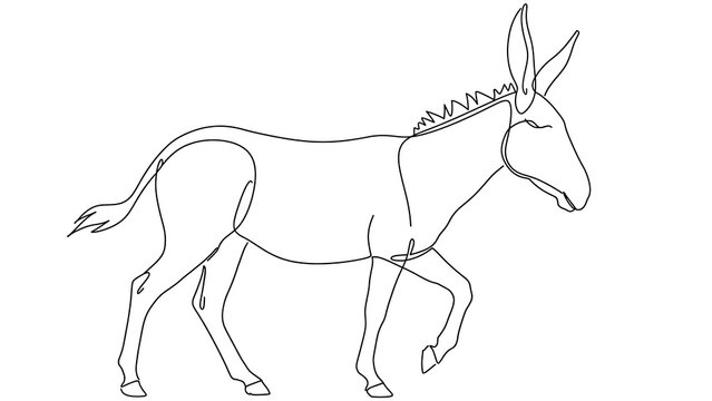 Donkey walking on white background.