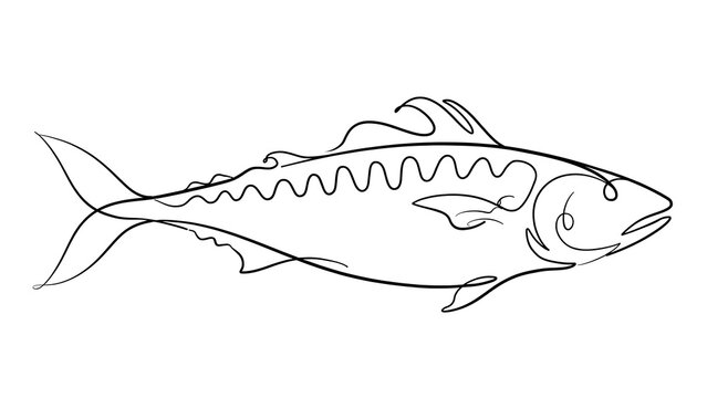 Fish on white background.