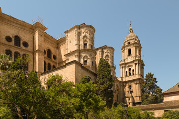Fototapeta premium Exterior view of the famous Malaga Cathedral (Santa Iglesia Catedrática de la Encarnación) with its grand tower rising above lush orange trees.