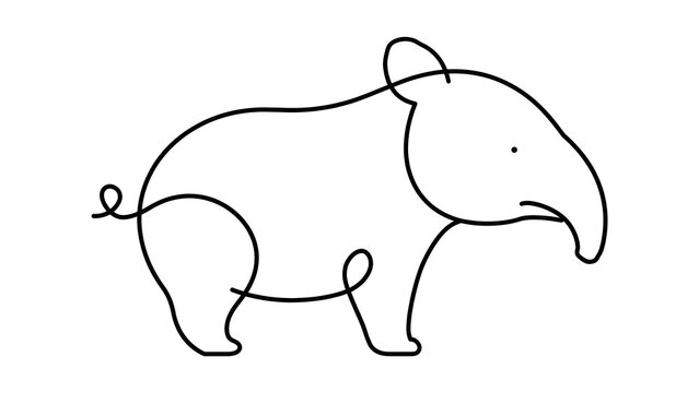 Elephant standing on white background.