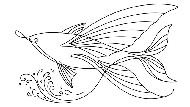 Fish swimming white background.