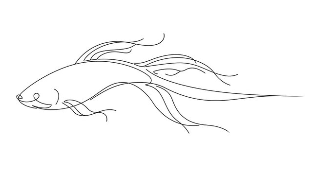 Fish white background simple line drawing.