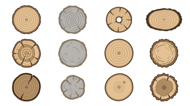 Circular tree ring textures and wood slice patterns.