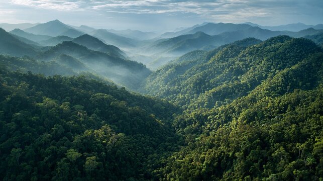 Aerial view of a dense tropical rainforest valley with misty mountains in the background