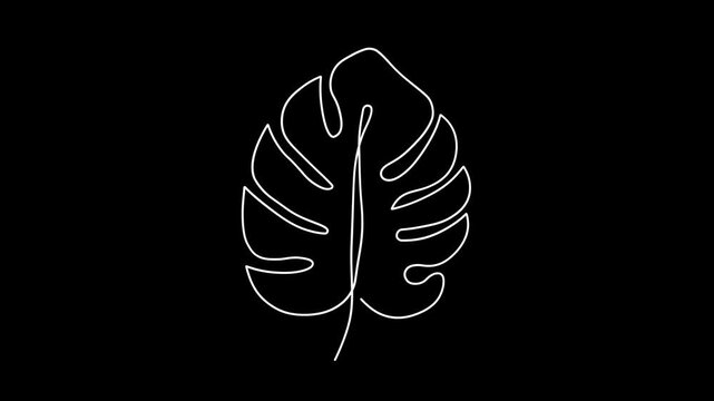Monstera leaf icon animation&mdash;a large, heart-shaped leaf with characteristic splits; a beautiful leaf evoking a tropical vibe; doodle style; dark background; 4K motion graphics.