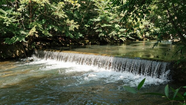Water flowing over a run of river weir surrounded by lush tropical vegetation