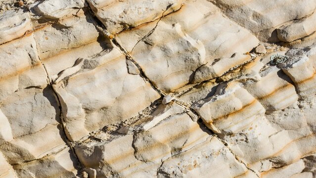 Detailed texture of sedimentary sandstone rock with visible layers and cracks
