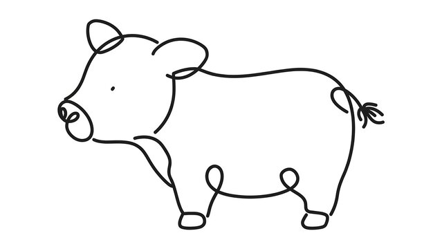 Pig white background simple line drawing.