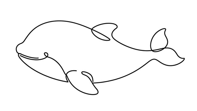 Whale icon white background.