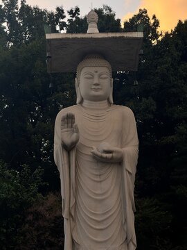 Statue Of Buddha, Bongeunsa Temple, Korea