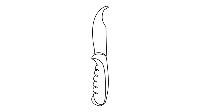 Kitchen knife white background.