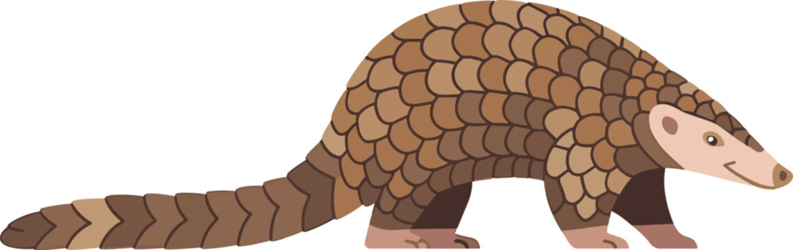 Scaly pangolin mammal isolated