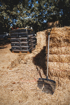 A long handled bedding fork leans against tied golden stalk bundles in a sunlit farmyard, with loose straw underfoot and palletized sacks behind, illustrating routine stable maintenance