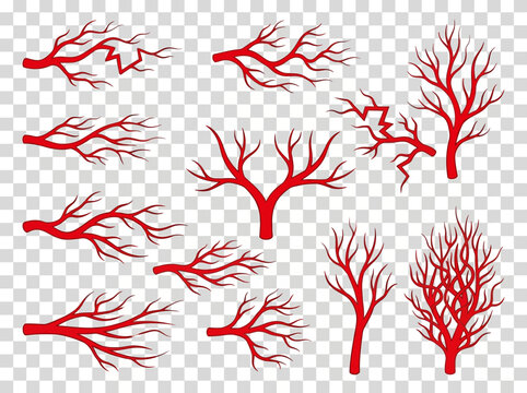 Human Blood Vessels Set, Red Veins and Arteries Vector Icons Isolated