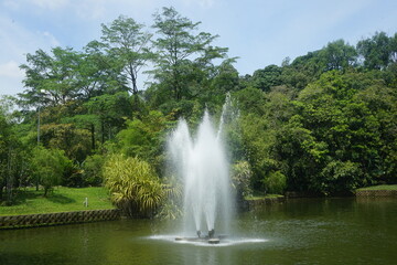 Fototapeta premium fountain in a park