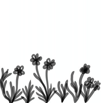 black and white abstract background isolated on white
