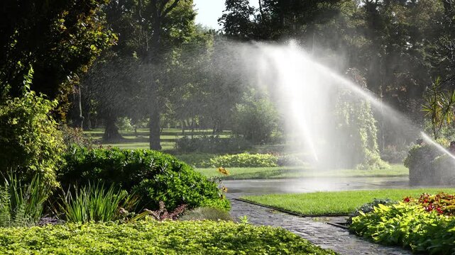 Fixed one-minute view of sprinklers watering a lush landscaped garden beside a winding path as morning sunlight illuminates drifting water mist.