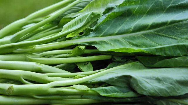 Fresh Chinese kale arranged in a natural wood plate	