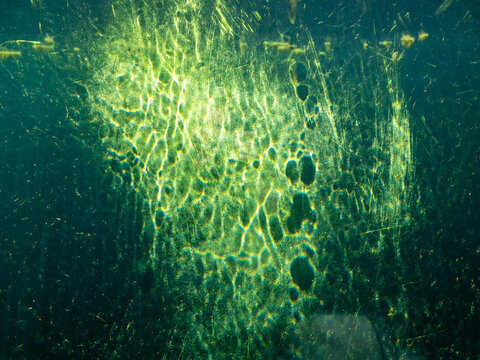Abstract underwater light patterns and shimmering caustic reflections seen through scratched aquarium glass. Green and turquoise tones create an atmospheric aquatic texture with glowing ripples.