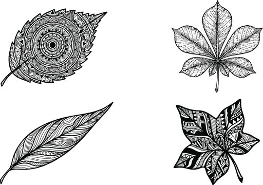 Black and White Ornamental Foliage Collection with Detailed Geometric Line Art Botanical Drawings and Abstract Patterned Leaf Vectors for Creative Graphic Layouts