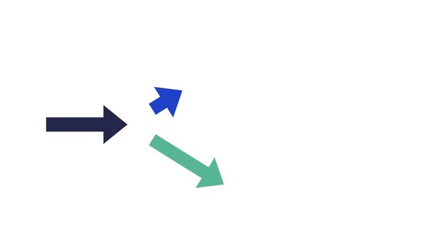 Arrow Divergence Concept for Decision Making