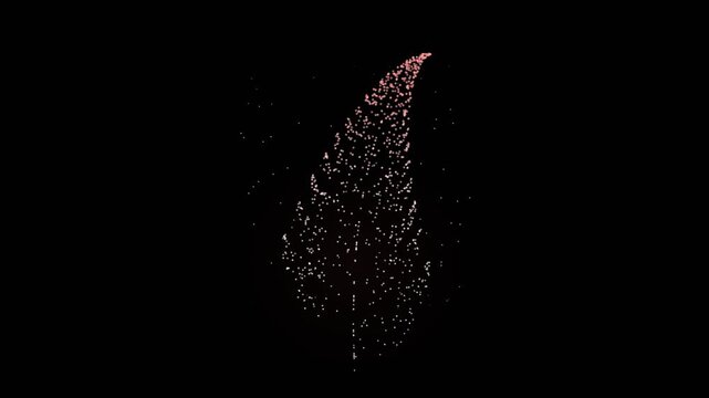Glowing Leaf Shape Formed by Floating Particles