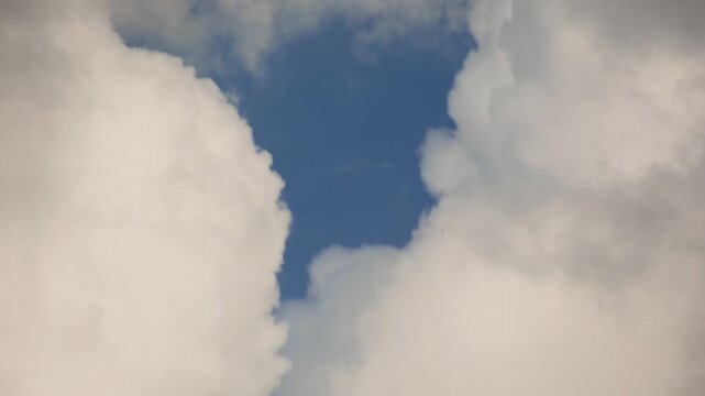 timelapse of large, fluffy white cumulus clouds moving rapidly across a clear blue sky, ambient background loop of thick white clouds rolling smoothly over a deep blue heavens