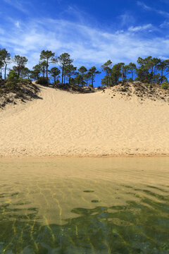 Portugal, Sesimbra, Lagoa de Albufeira coastal lagoon fed by 3 streams and the Atlantic Ocean. Bordered by aquatic vegetation and pine forests and protected from sea storms by large sand dunes.
