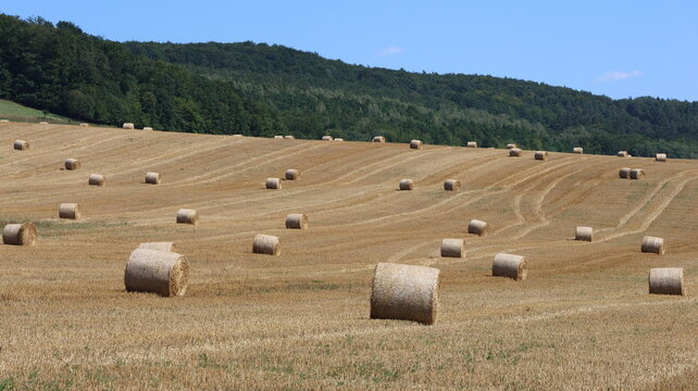 Harvested agricultural field dotted with round hay bales across rolling countryside, photographed on a sunny summer day with forested hills and clear blue sky in the background.