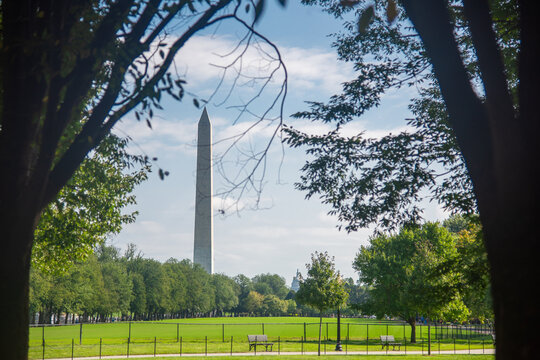 Washington Monument framed by trees with Capitol dome in the distance
