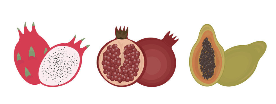Flat vector illustration featuring three exotic fruits: pomegranate, dragon fruit, and papaya.