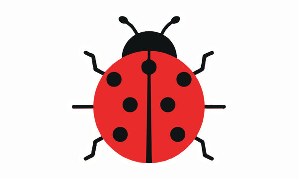 Adorable red ladybug illustration with black spots isolated on a white background