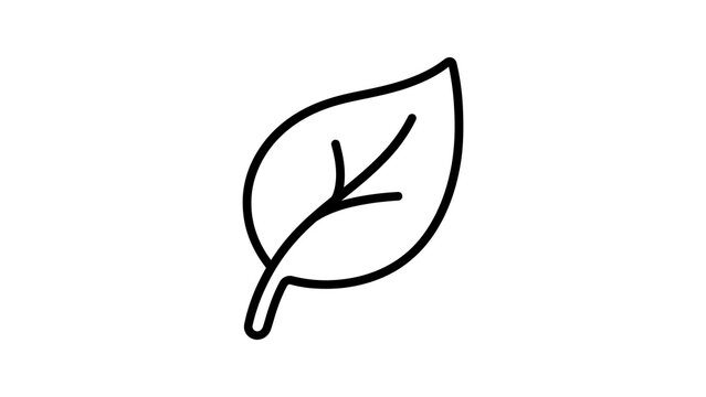 Leaf icon simple outline design representing nature and growth.