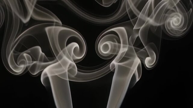 Abstract white smoke swirls and curls creating symmetric artistic patterns against a stark black background
