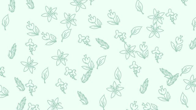 Seamless pattern with hand drawn delicate flowers and leaves on a light mint green background.