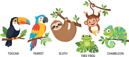 Fototapeta premium A collection of cute cartoon tropical rainforest animals including a toucan parrot sloth monkey frog and chameleon.