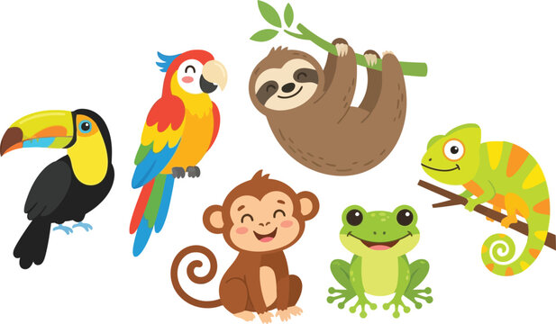 A collection of cute cartoon rainforest animals including a toucan parrot sloth monkey frog and chameleon.